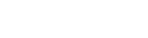 Brew-Bridge-Development-Logo-White